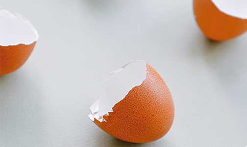 Yumurta Kabuğunun Faydaları