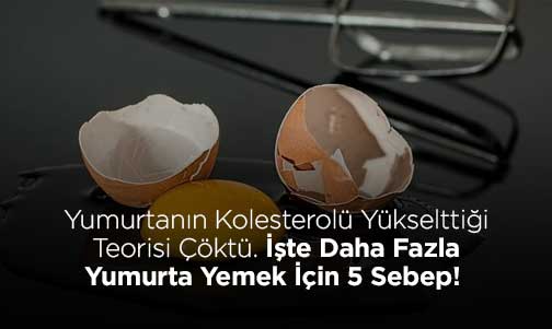 Yumurtanın Kolesterolü Yükselttiği Teorisi Çöktü. İşte Daha Fazla Yumurta Yemek İçin 5 Sebep! 