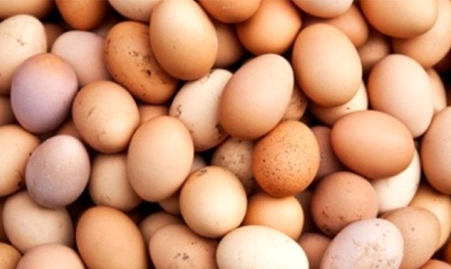 Dolandırıcılar, ‘köy yumurtası’ sahteciliğine başladı
