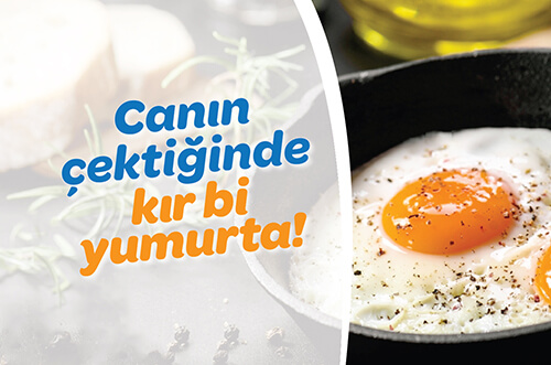 Canın Çektiğinde Kır Bir Yumurta - Adana Yumurta