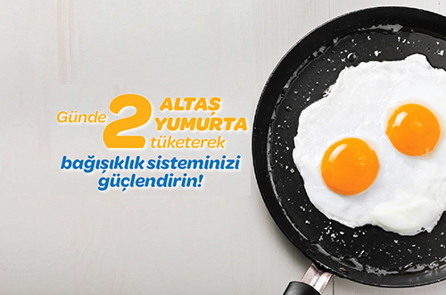 Günde 2 Altaş Yumurta tüketerek bağışıklık sisteminizi güçlendirin - Yumurtanın Faydaları