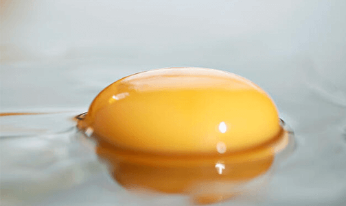 Yumurtanın Sarısını Ayırmanın Kolay Yolu